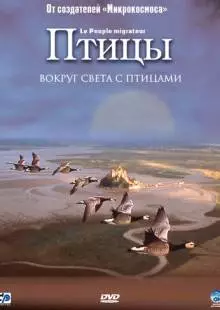 Птицы (2001)