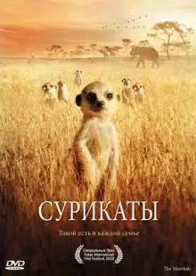 Сурикаты (2007)