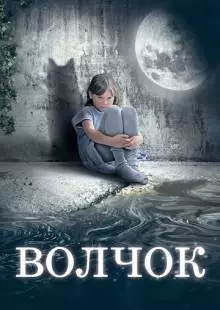 Волчок (2009)