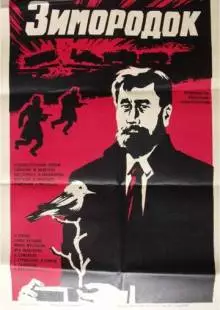 Зимородок (1972)