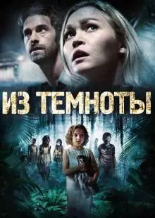 Из темноты (2014)