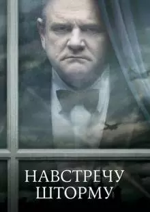 Навстречу шторму (2009)