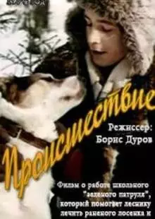 Происшествие (1974)