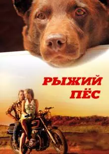 Рыжий пес (2011)