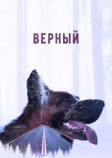 Верный (2016)