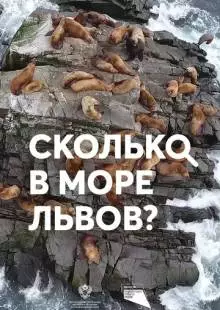 Сколько в море львов? (2018)