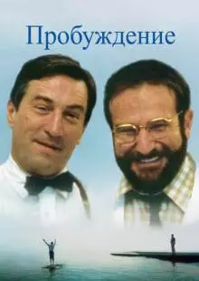 Пробуждение (1990)