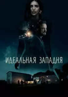 Идеальная западня (2017)