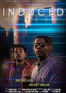 Induced Effect (2017)