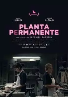 Planta permanente (2019)