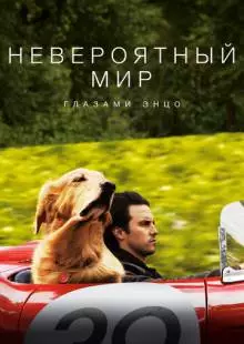 Невероятный мир глазами Энцо (2019)