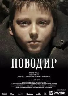 Поводырь (2013)