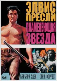 Пламенеющая звезда (1960)