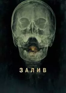 Залив (2012)