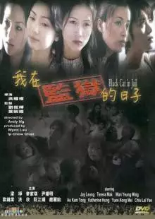 Чёрная кошка 3: В тюрьме (2000)