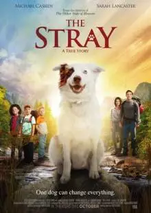 The Stray (2017)