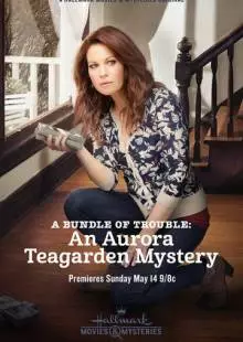 A Bundle of Trouble: An Aurora Teagarden Mystery (2017)