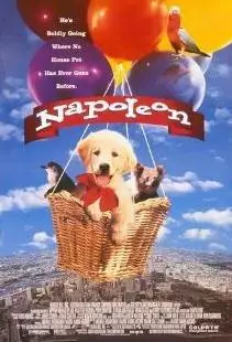 Наполеон (1995)