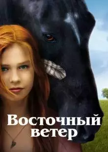 Восточный ветер (2013)