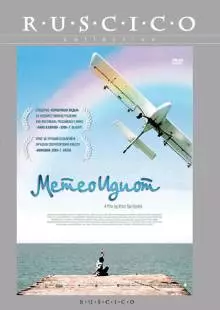 Метеоидиот (2008)