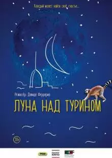 Луна над Турином (2013)