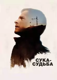 Сука-судьба (2016)