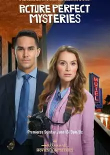 Picture Perfect Mysteries: Newlywed and Dead (2019)