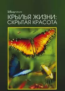 Крылья жизни: Скрытая красота (2011)