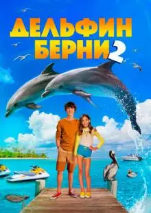 Дельфин Берни 2 (2019)