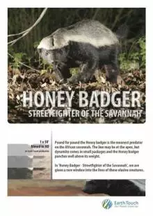 Ultimate Honey Badger (2013)