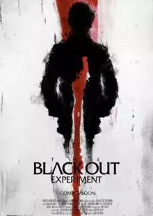 The Blackout Experiment (2014)