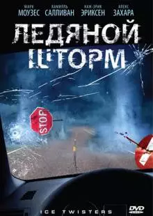 Ледяной шторм (2009)