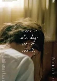 Never Steady, Never Still (2017)