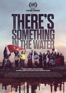 There's Something in the Water (2019)