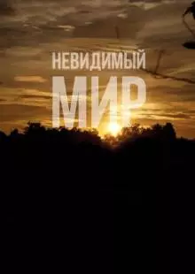 Невидимый мир (2012)