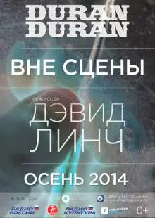 Duran Duran: Вне сцены (2014)