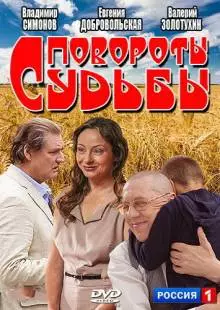 Повороты судьбы (2013)