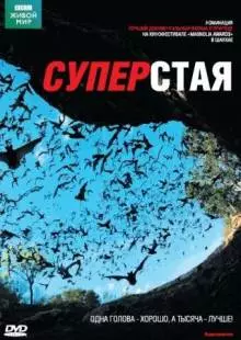 BBC: Суперстая (2009)