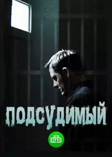 Подсудимый (2018)