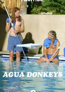 Agua Donkeys (2020)