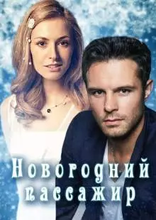 Новогодний пассажир (2017)