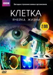 BBC: Клетка (2009)