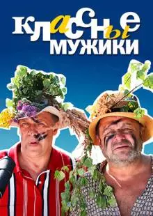 Классные мужики (2010)