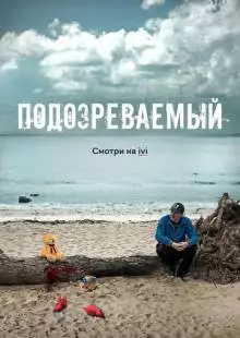 Подозреваемый (2017)