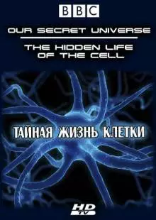 Внутренняя вселенная: Тайная жизнь клетки (2012)