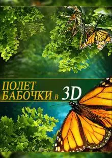 Полет бабочки 3D (2012)