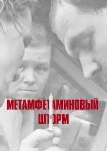 Метамфетаминовый шторм (2017)